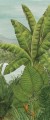 Mural egzotyczny krajobraz Khroma DG3RAI1033 Rainforest Wall Designs III
