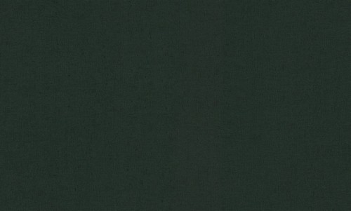 Tapeta płótno Decori & Decori 72918 Zen - 106cm szer.