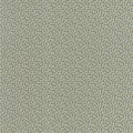 Tapeta abstrakcyjne kropki Caselio DAE 103656071 Physis Danae
