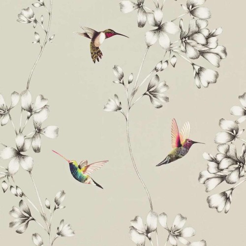 Tapeta kwiaty i ptaki Harlequin 111062 Amazilia Colour II