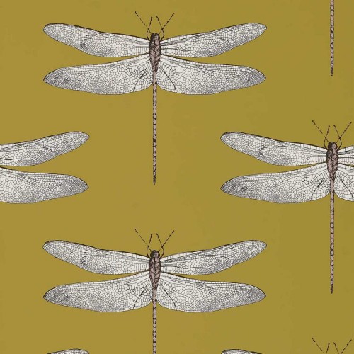 Tapeta ważki Harlequin 111244 Demoiselle Colour II