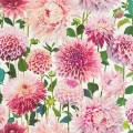 Tapeta kwiaty dalii Harlequin 112843 Dahlia Colour II