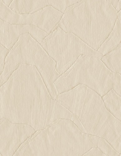 Tapeta geometryczna tynk Arte 42502 Shards Sculptura