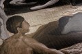 Tapeta scena łaźni termalnej Arte 70501 Saturnia Les Thermes