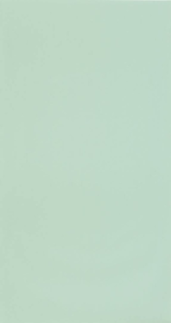 e5c4934980b27c8b34508543188dc393