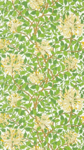 Tapeta roślinne pnącza Morris & Co. 217095 Honeysuckle Ben Pentreath The Cornubia Collection