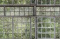 Mural oranżeria Boras Tapeter Studio Greenhouse 9424W
