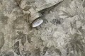 Tapeta pawie na betonowym tle Holden 91452 Thalia Cascading Gardens