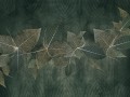 Fototapeta liście Wallcraft Blara 615322201