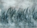 Fototapeta roślinna nowoczesna Wallcraft Canna 535312201