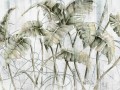 Fototapeta tropikalne liście Wallcraft Monstera 595312201