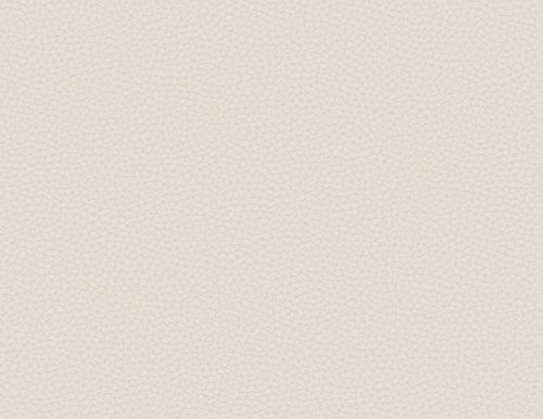 Tapeta skóra Carl Robinson CR83001 Queenswood Loft 17