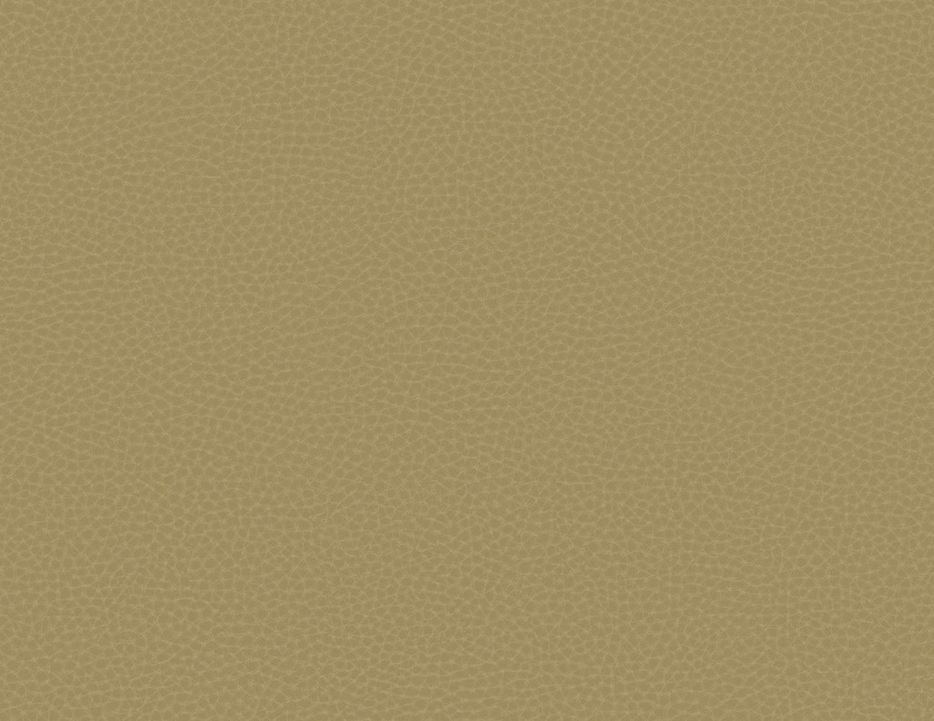 50fb07ff1fed5aa01960144cc9901bab