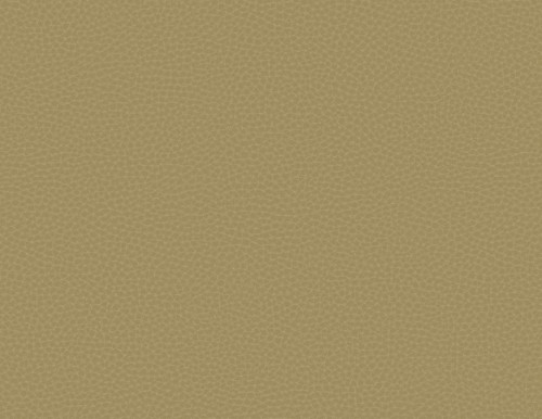 Tapeta skóra Carl Robinson CR83005 Queenswood Loft 17