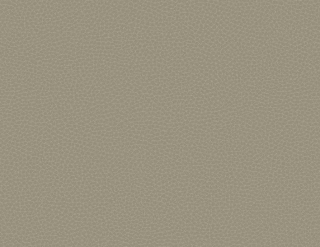 ccec4d621d5b043720057a9f0d9f7ad7