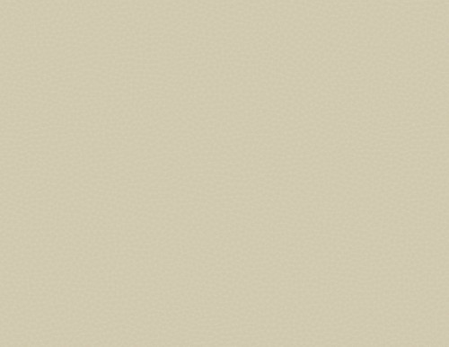 Tapeta skóra Carl Robinson CR83007 Queenswood Loft 17