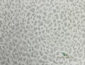 Tapeta Designers Guild PDG680/01 Boratti
