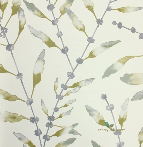 Tapeta Harlequin 111636 Chaconia Anthozoa