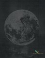 Fototapeta Wall&Deco Luna plena WDLU1703 Contemporary 2017