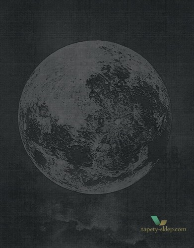 Fototapeta Wall&Deco Luna plena WDLU1703 Contemporary 2017