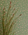 Tapeta roślinna Eijffinger 316055 Posy