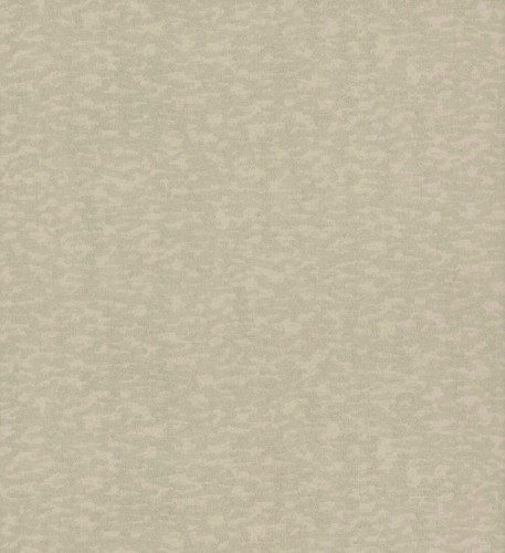 Tapeta imitująca korę York Antonina Vella DD3752 Weathered Cypress Dazzling Dimensions II