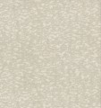 Tapeta imitująca korę York Antonina Vella DD3754 Weathered Cypress Dazzling Dimensions II