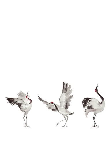 Mural żurawie plisowany Marburg 63440 Crush Motion