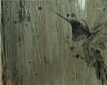 Mural ptaki plisowany folia Marburg 63463 Crush Motion