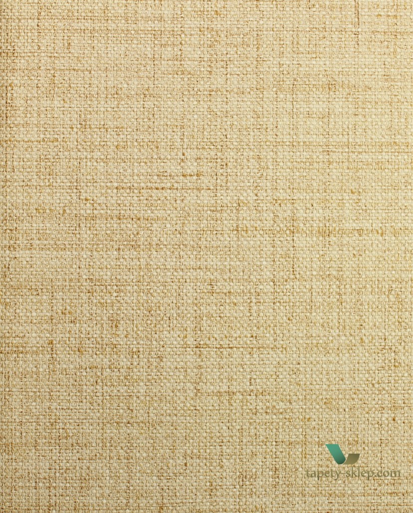 27007.jpg