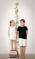 Miarka wzrostu tropikalna Marburg 45885 Kids Walls Little Adventures