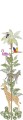 Miarka wzrostu tropikalna Marburg 45886 Kids Walls Little Adventures