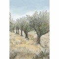 Mural drzewa oliwne Casamance 75851222 Lauris Int Panoramas 2