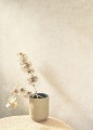 Tapeta jak tynk wapienny Casadeco MINRL 88099237 Mur A La Chaux Minerals