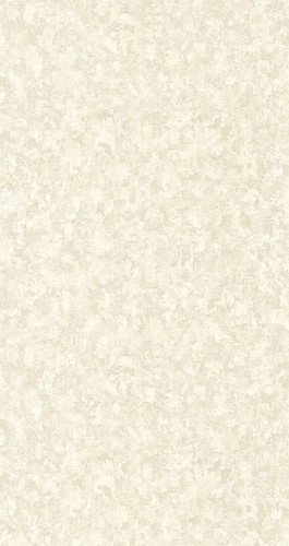 Tapeta beton Casadeco MINRL 88110246 Mur Antique Minerals