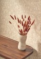Tapeta beton Casadeco MINRL 88119529 Mur Antique Minerals