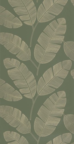 Tapeta bananowiec Caselio GCO 101107142 Banana Tree Green & Co