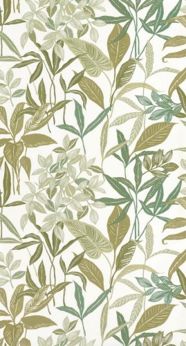 Tapeta roślinna Caselio GCO 103850223 Santiago Green & Co