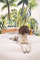 Mural tropikalny Caselio GCO 104007004 L Fidji Green & Co