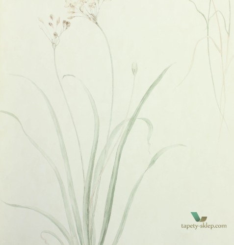 Tapeta łąka Sanderson 216488 Farne Grasses