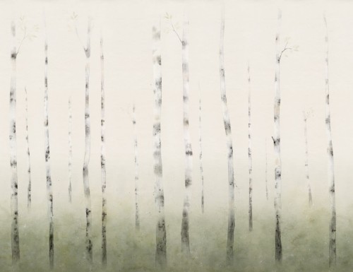 Fototapeta brzozowy las Sandberg S10170 Sundborn Spring Green Huset i Solen