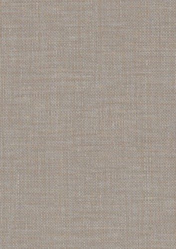Tapeta obiektowa płótno Texdecor GONI91531023 Goni