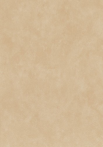 Tapeta obiektowa jak skóra Texdecor CUEO  91500221 Cuero Basane
