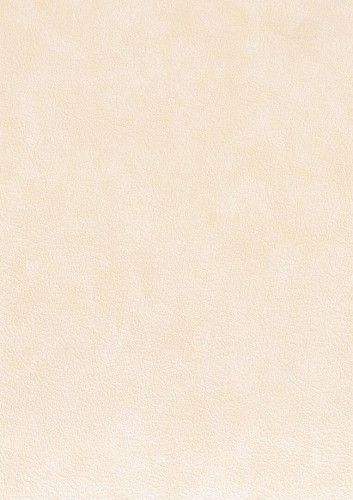 Tapeta obiektowa jak skóra Texdecor CUEO  91500256 Cuero Basane