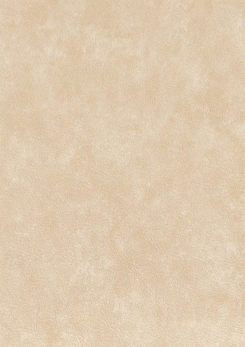 Tapeta obiektowa jak skóra Texdecor CUEO  91500293 Cuero Basane