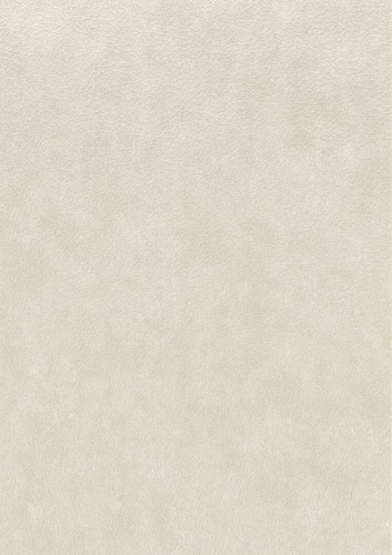 Tapeta obiektowa jak skóra Texdecor CUEO  91501127 Cuero Basane