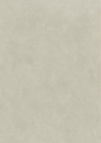 Tapeta obiektowa jak skóra Texdecor CUEO  91501179 Cuero Basane