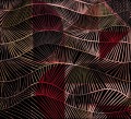 Fototapeta geometryczna retro Wall&Deco WET_CB2201 A Comforting Balance WET SYSTEM 2022