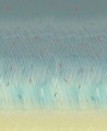 Fototapeta fale i deski surfingowe Wall&Deco WET_NW2201 Next Wave WET SYSTEM 2022