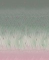 Fototapeta fale i deski surfingowe Wall&Deco WET_NW2202 Next Wave WET SYSTEM 2022